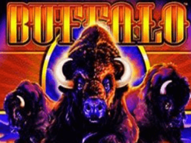 Buffalo